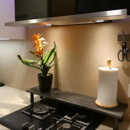 Viana Urban , Cozy 2br Near Old Town * בילבאו